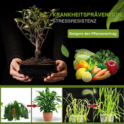 SicherWachsen™ Schnelle Gartenrestaurierung