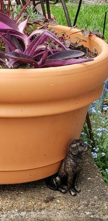 Pflanzensockel™ Verhindert Wasserstagnation