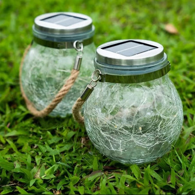 1+1 Gratis | GlühendeBlüte™ Fördert das Outdoor Ambiente