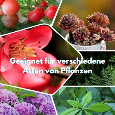 1+1 GRATIS | GrowBoost - Pflanzen umweltfreundlich wieder zum Leben erwecken! [Letzter Tag Rabatt]