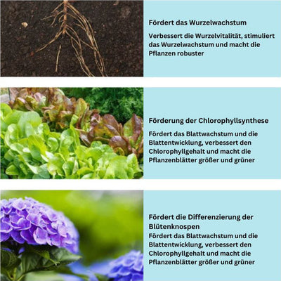 1+1 GRATIS | GrowBoost - Pflanzen umweltfreundlich wieder zum Leben erwecken! [Letzter Tag Rabatt]