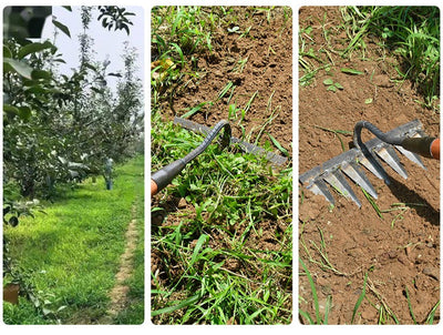 GartenHarker™ Der robuste Unkrautschneider aus Eisen (50% Rabatt)