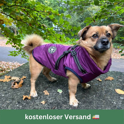 KuscheligerWelpe™ Schutz bei jedem Wetter