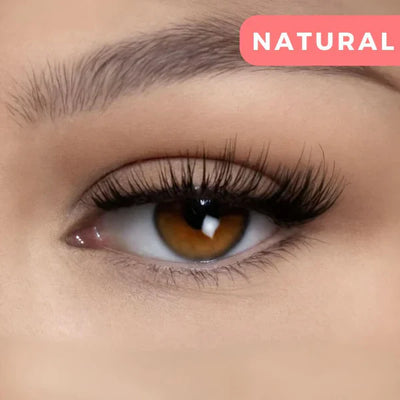 Wimpernmagnet™ Einfache magnetische Anwendung