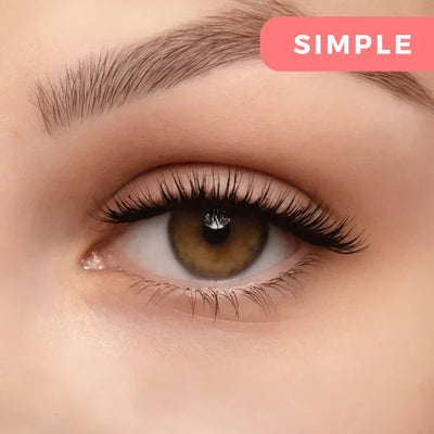 Wimpernmagnet™ Einfache magnetische Anwendung