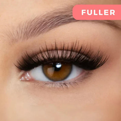 Wimpernmagnet™ Einfache magnetische Anwendung