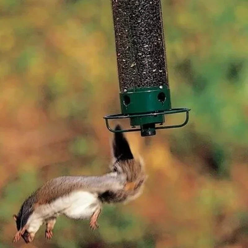 BirdHaven™ Eichhörnchen-sichere Vogelfutterstelle