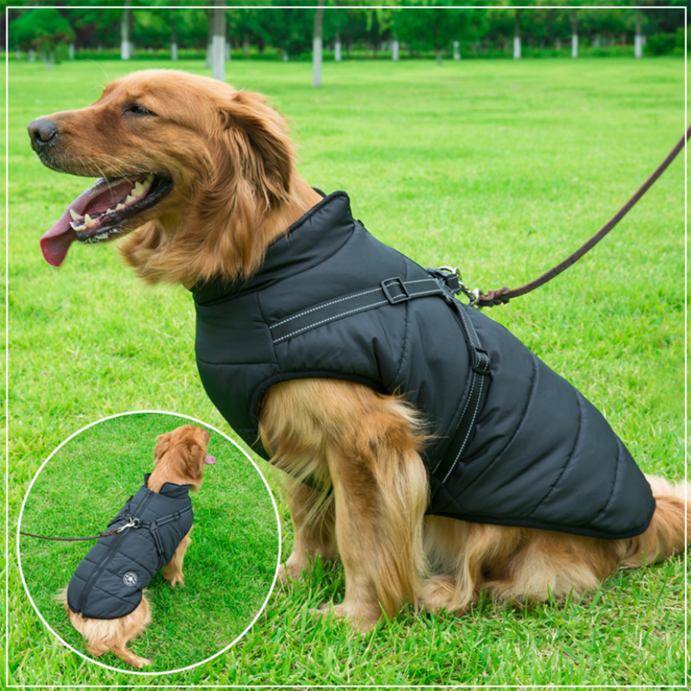 BlizzardKnacker™  Wasserdichte Winterjacke mit integriertem Klettergurt